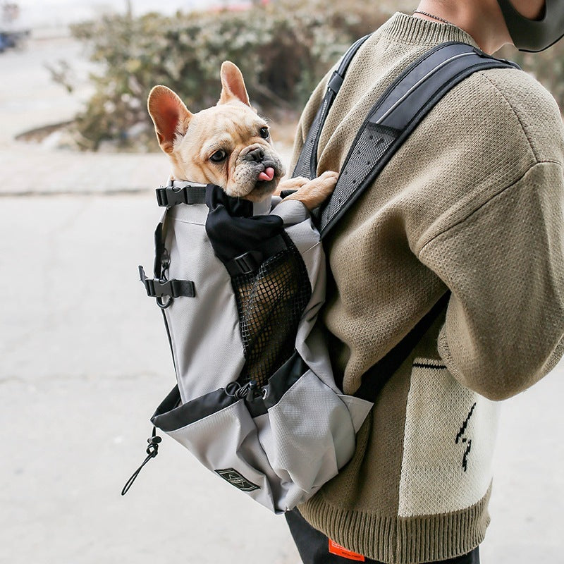 Double-Shoulder Portable Dog Carrier Backpack