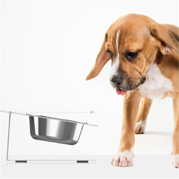 Anti-Falling Pet Bowl