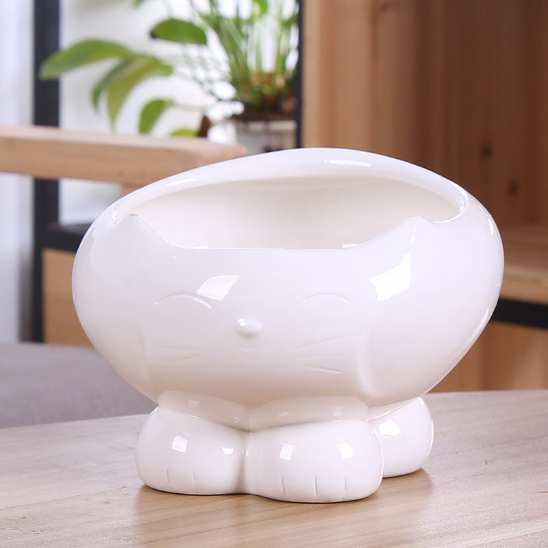 Cat Feeder & Water Dispenser