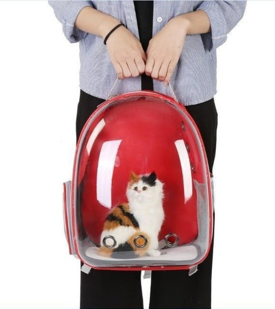 Full Transparent Cat Carrier