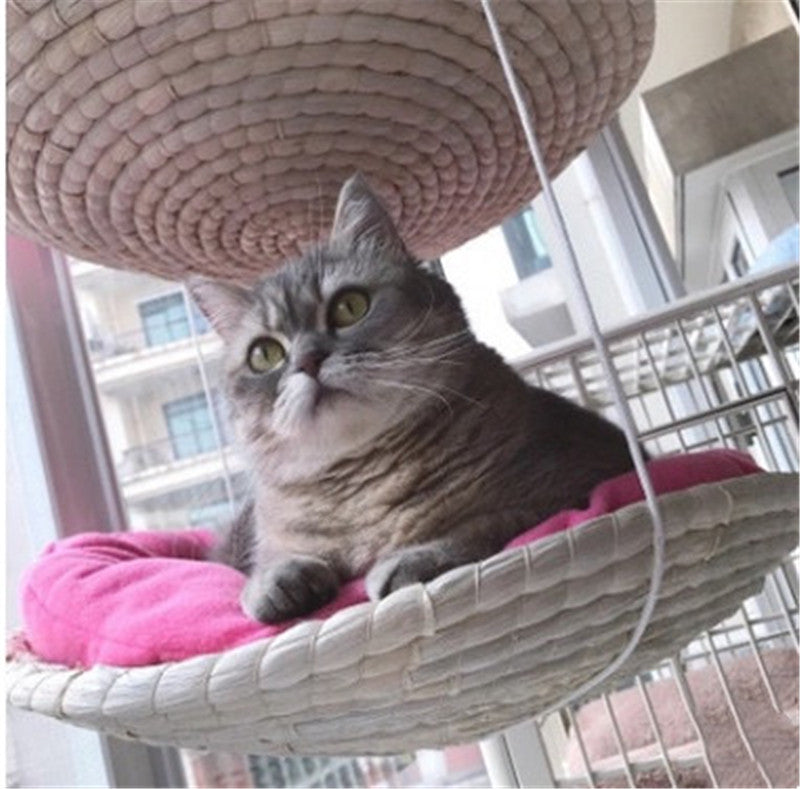 Cat Climbing Tree & Scratching Platform