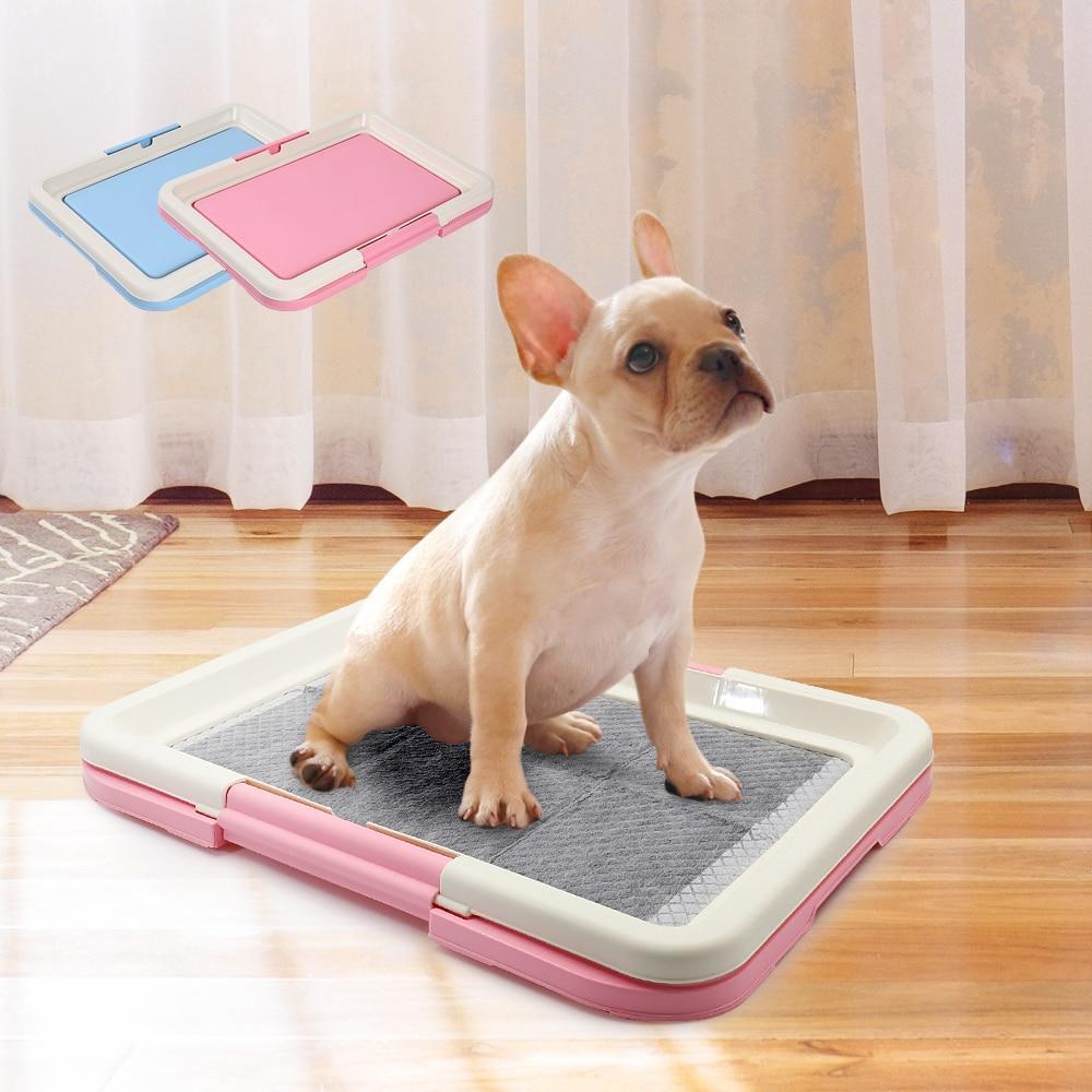 Dog Toilet & Urinal Inducer