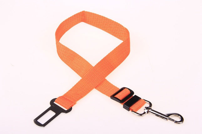 Fixed Polyester Dog Leash