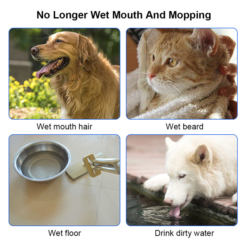 1.5L Anti-Overflow Pet Water Bowl