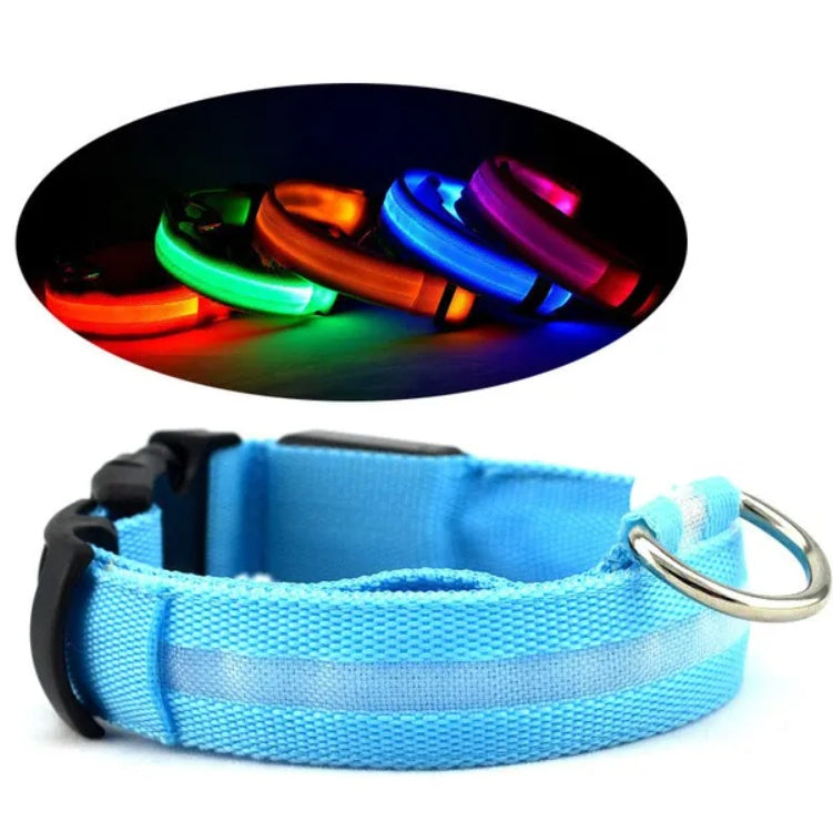 LED Safety Halo Style Collar
