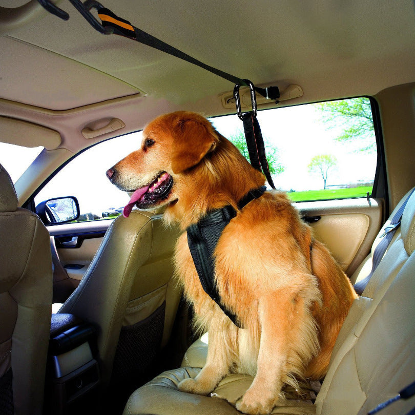Dual-Purpose Pet Safety Belt & Car Lanyard