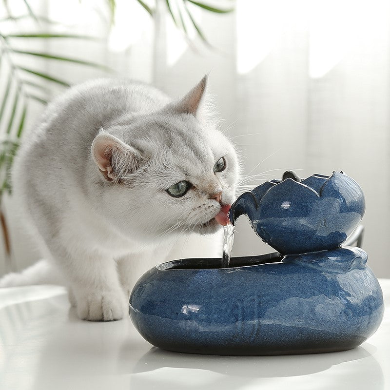 Cat Feeder & Water Dispenser