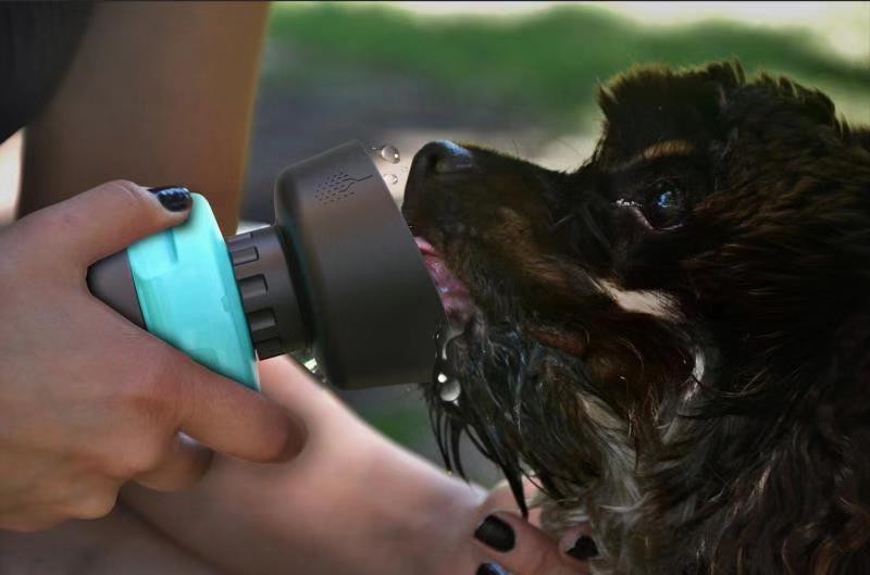 Foldable Outdoor Dog Water Bottle