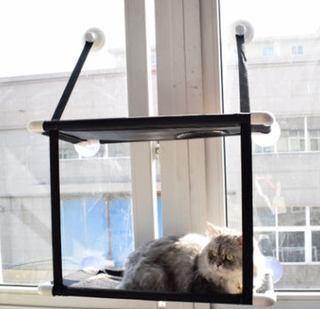 Cat Window Hammock Bed