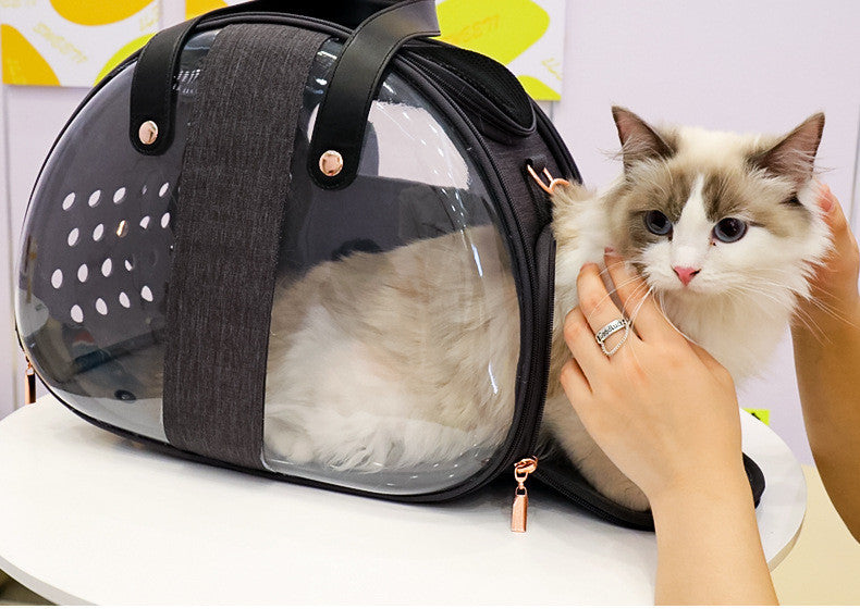Double Fish Transparent Pet Backpack