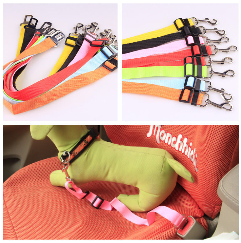 Fixed Polyester Dog Leash