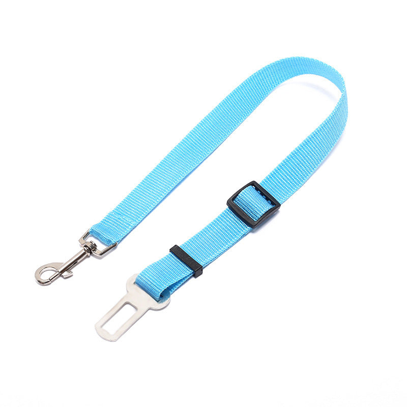 Fixed Polyester Dog Leash