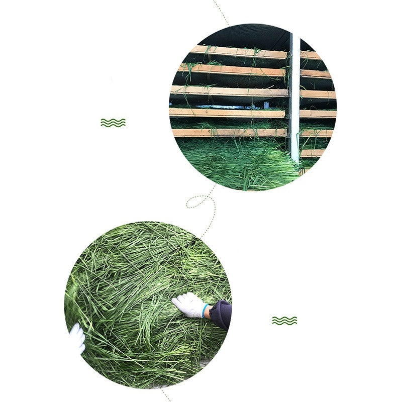 Rabbit & Guinea Pig Feed Snacks