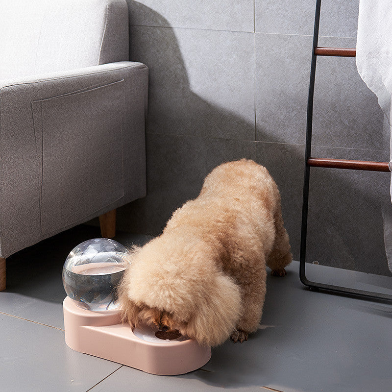 Automatic Nonelectric Water Dispenser with Bowl