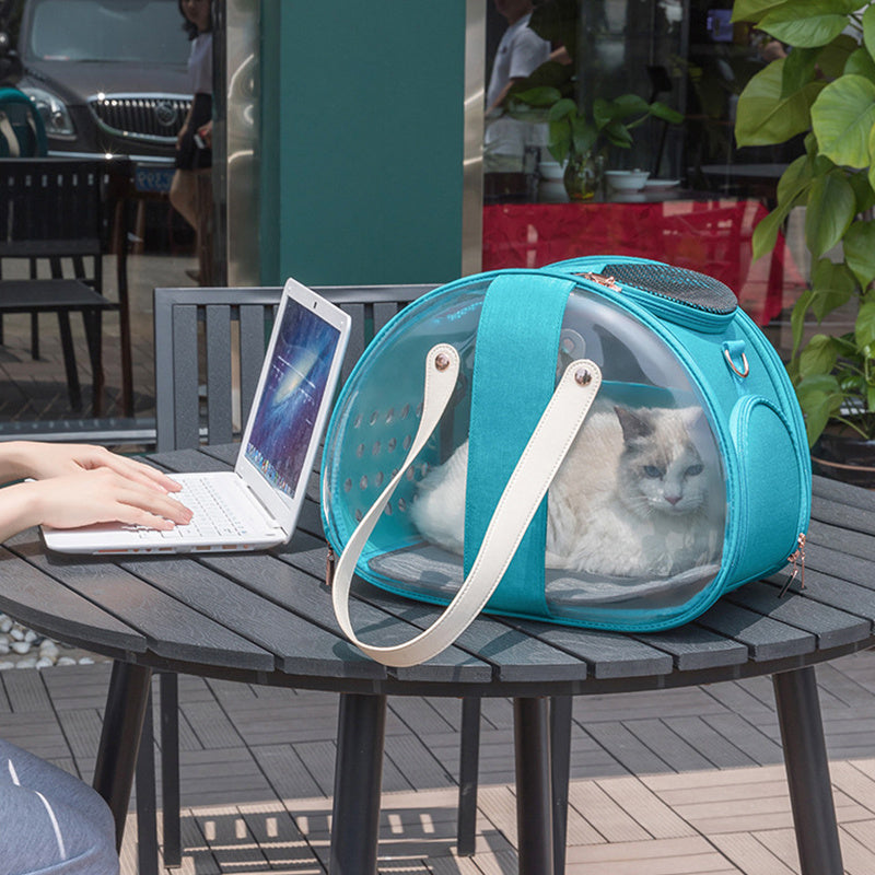 Double Fish Transparent Pet Backpack