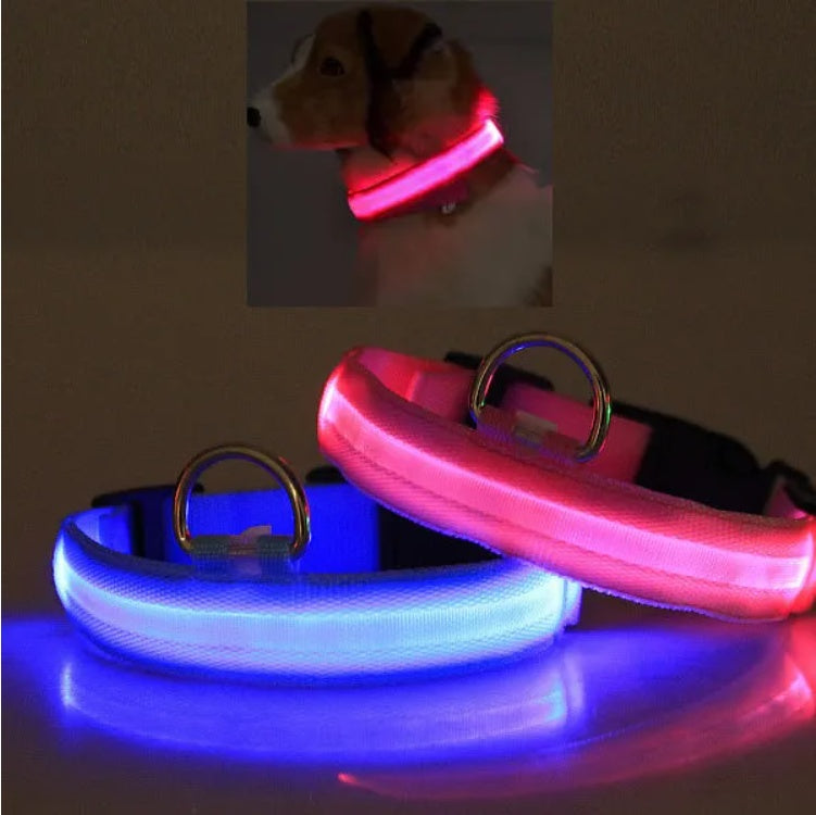 LED Safety Halo Style Collar