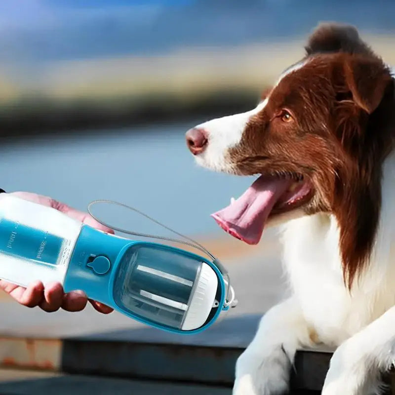 3-in-1 Portable Dog Water & Food Cup with Waste Bag