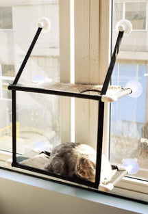 Cat Window Hammock Bed