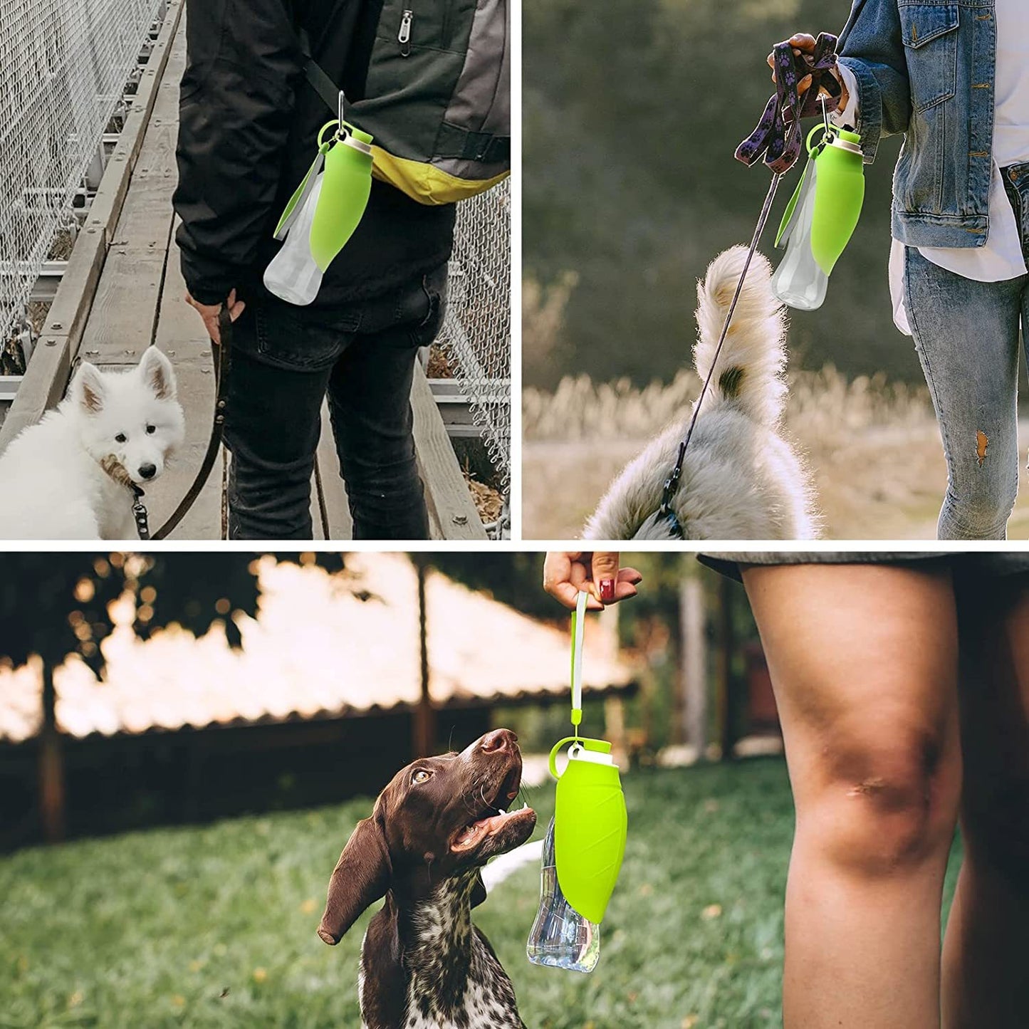 Leak-Proof Portable Pet Water Dispenser