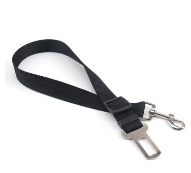 Fixed Polyester Dog Leash