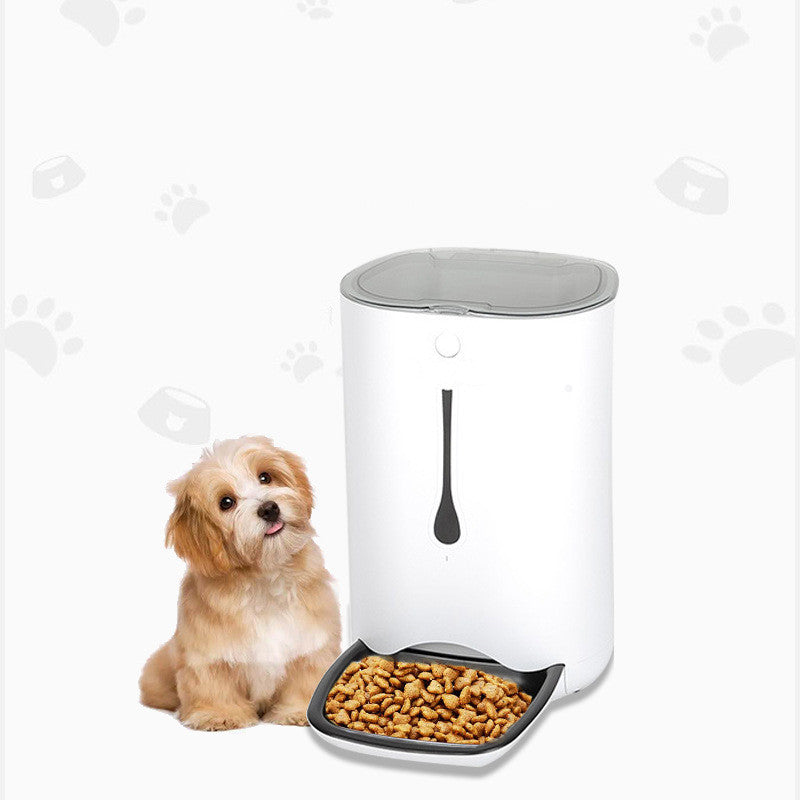 Automatic Timed Pet Feeder with Camera