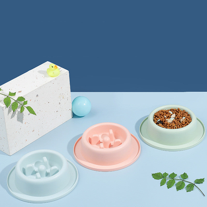 Anti-Choking Slow Pet Food Bowl