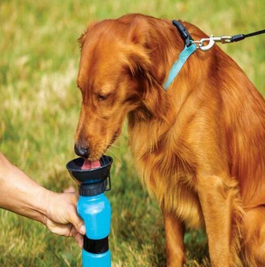 Portable Dog Water Bottle Drinker