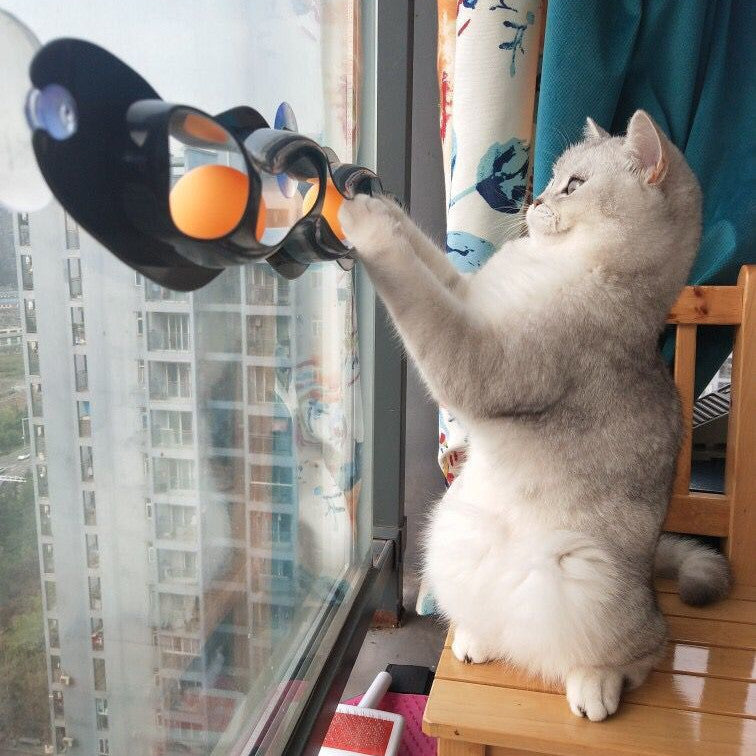 Windowsill Cat Toy