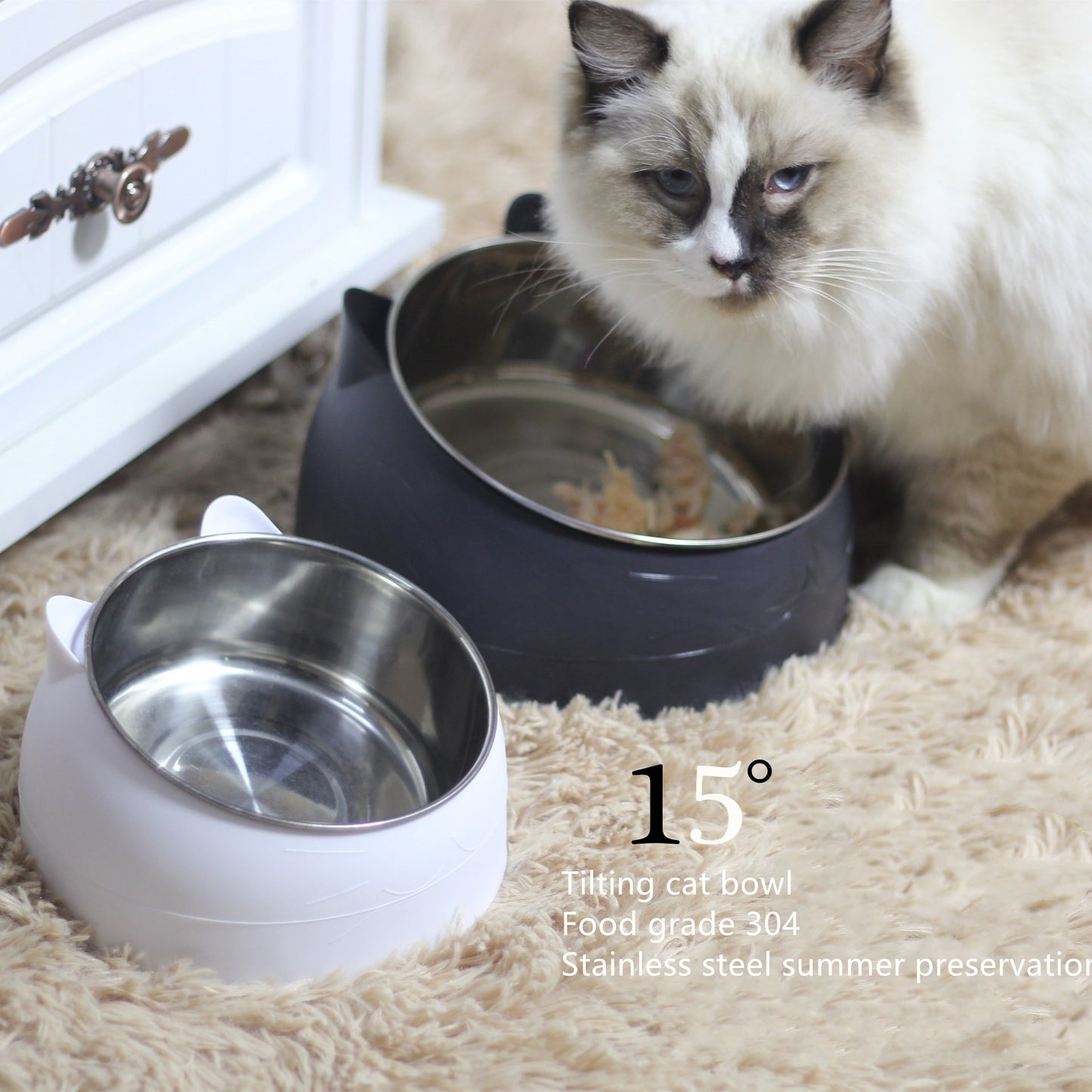 Oblique Mouth Cat Bowl