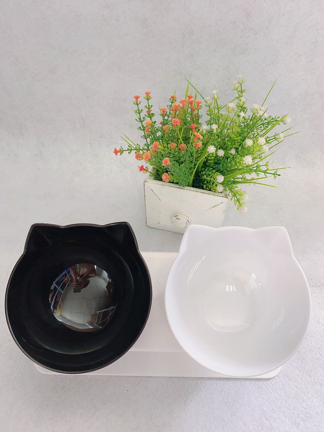 Double Food Bowl