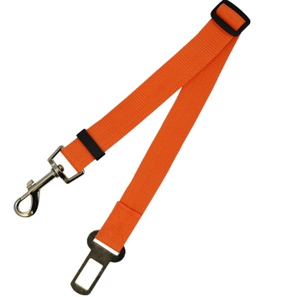Fixed Polyester Dog Leash