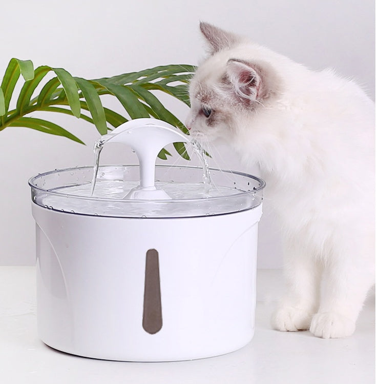 Smart Automatic Pet Water Dispenser