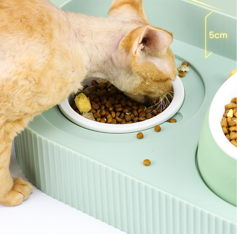 Ceramic Cat Food Bowl