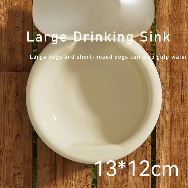 500ml Portable Pet Water Bottle