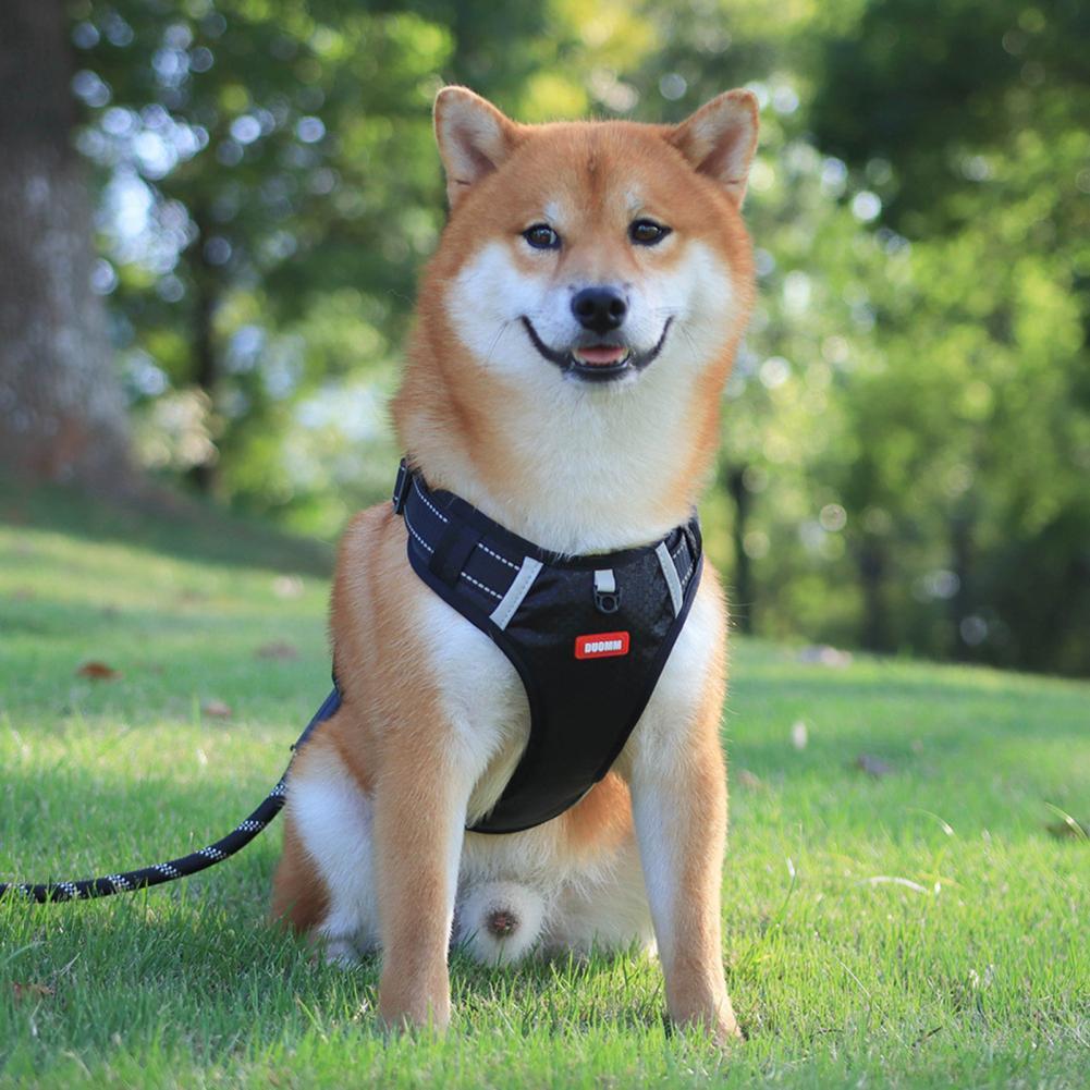 Nylon No-Pull Reflective Dog Harness