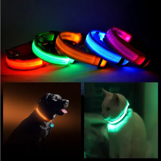 LED Safety Halo Style Collar