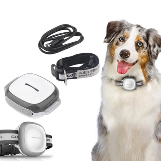 Collared Cat Dog Tracker