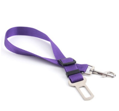 Fixed Polyester Dog Leash