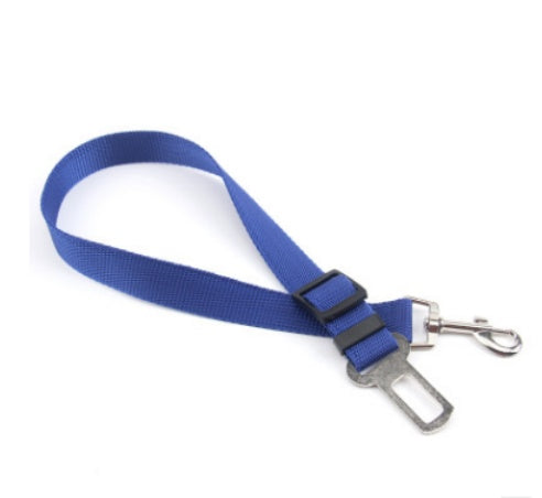Fixed Polyester Dog Leash