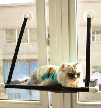 Cat Window Hammock Bed