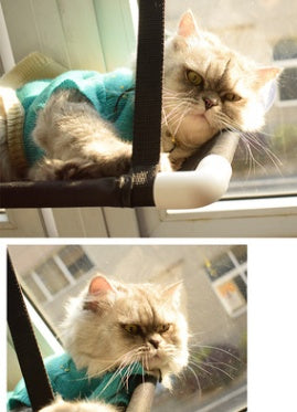 Cat Window Hammock Bed