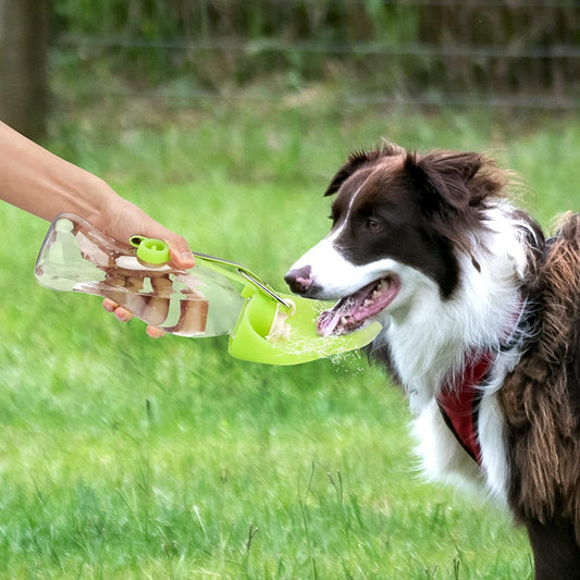 Leak-Proof Portable Pet Water Dispenser