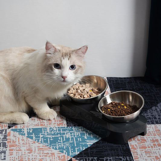 Double Stainless Steel Pet Bowl