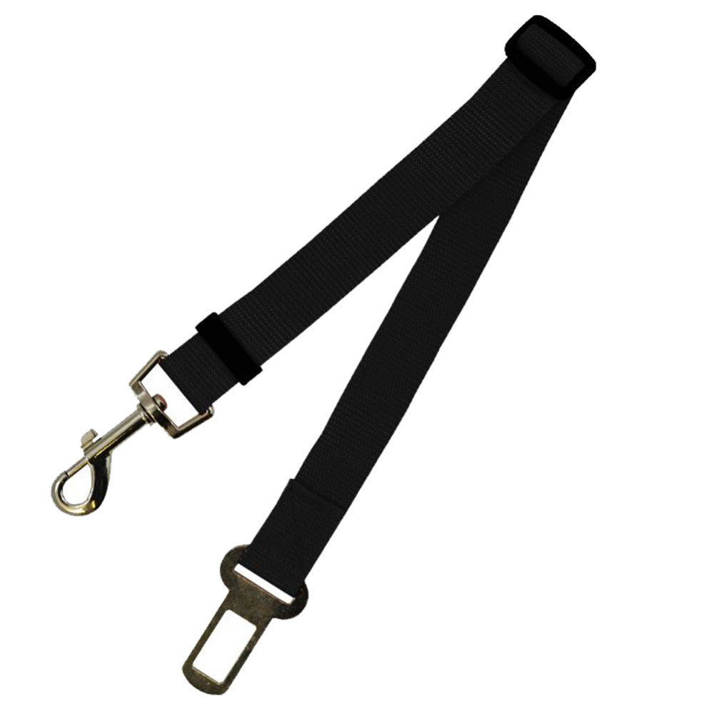 Fixed Polyester Dog Leash