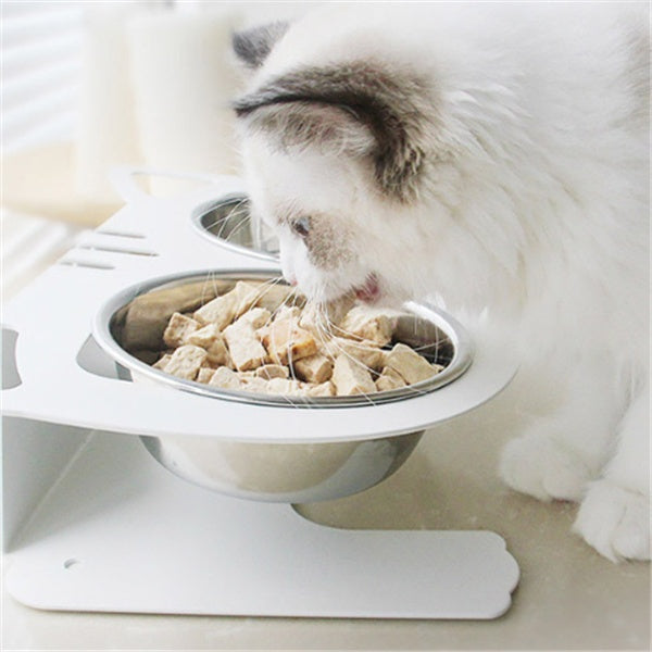 Anti-Falling Pet Bowl