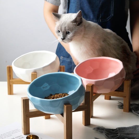 Oblique Mouth Pet Food Bowl