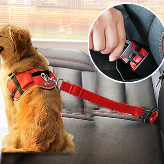 Telescopic Dog Traction Leash