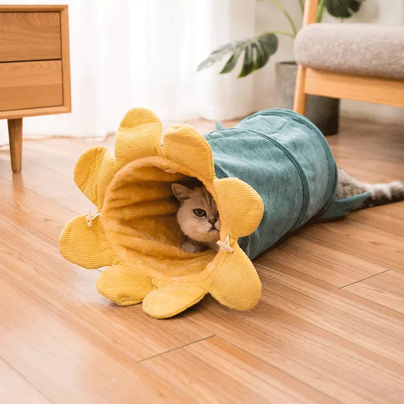 Fruit-Themed Pet Tunnel Toy