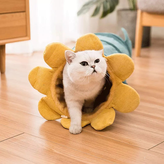 Fruit-Themed Pet Tunnel Toy