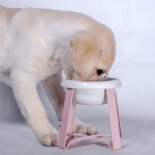 Creative Anti-Slip Bowl with Iron Stand